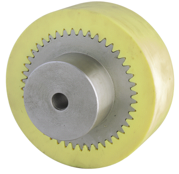 HAİTİAN BÜYÜK BOY KAPLİN TAKIMl