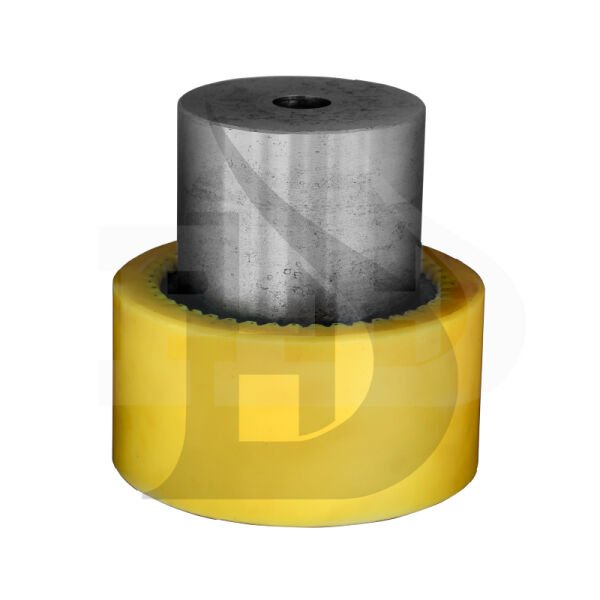 HAİTİAN KÜÇÜK BOY KAPLİN TAKIMI