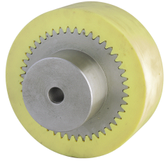 HAİTİAN KÜÇÜK BOY KAPLİN TAKIMI