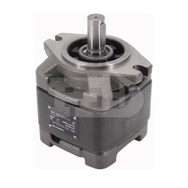 HG0-16 İçten Dişli Servo Pompa