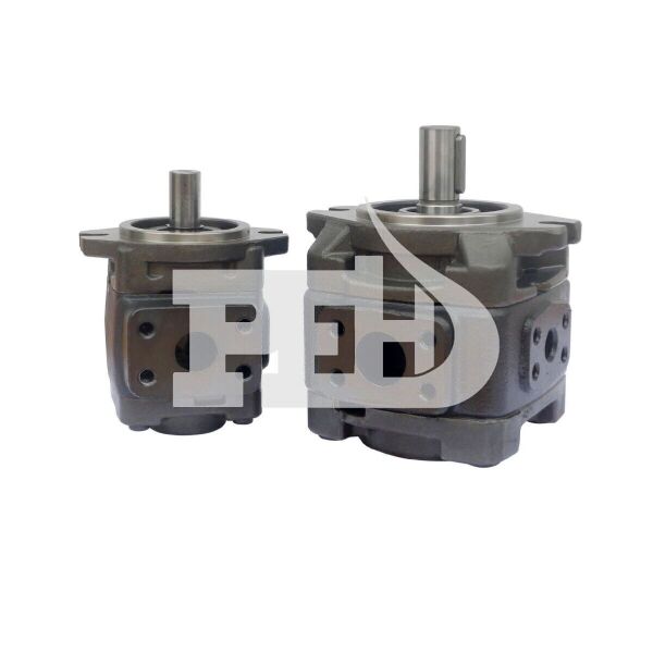 HG2-80 İçten Dişli Servo Pompa