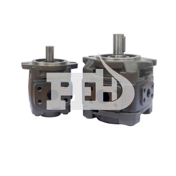 HG2-100 İçten Dişli Servo Pompa