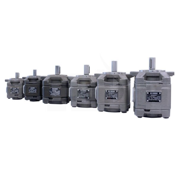 HG2-80-01-R-VPC  POMPA