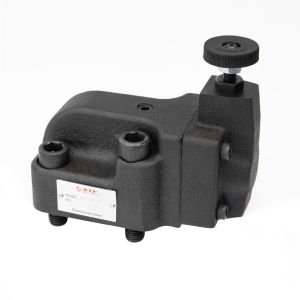 HAITIAN HBG-G03-32 BASINÇ EMNİYET VALFİ
